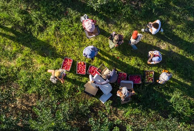 塞上秋色好“丰”景