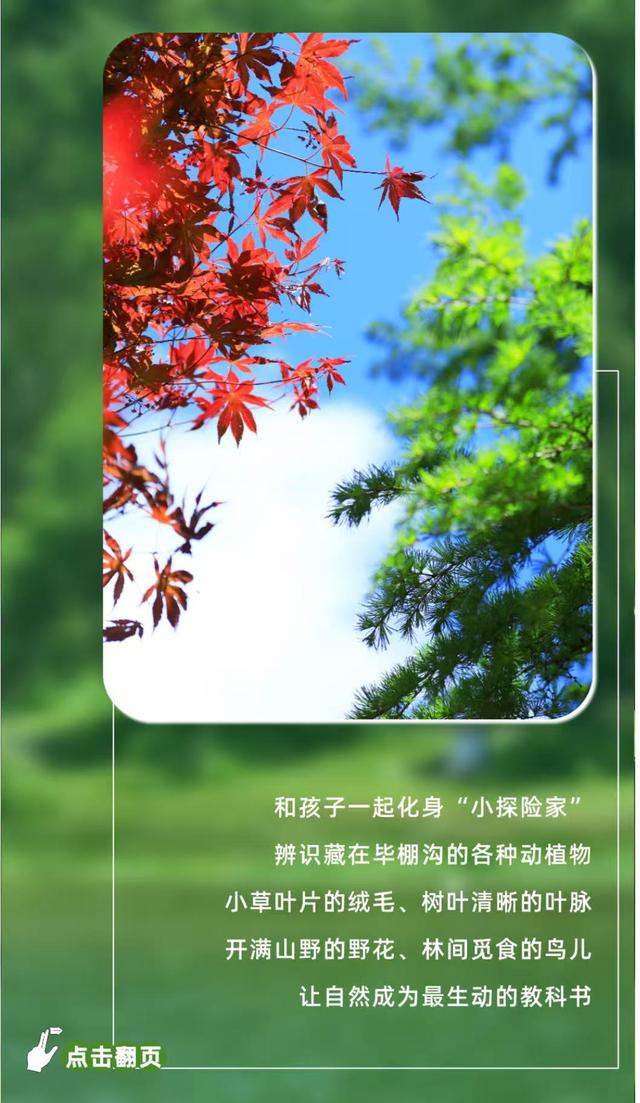 暑假遛娃去哪？毕棚沟游玩手册已上线！
