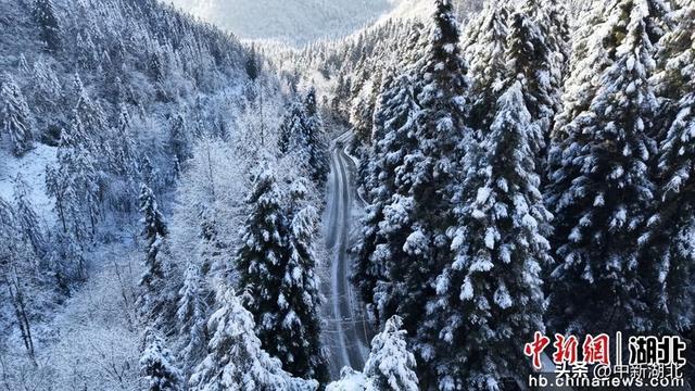 湖北咸丰：林海银装素裹宛如冬日秘境
