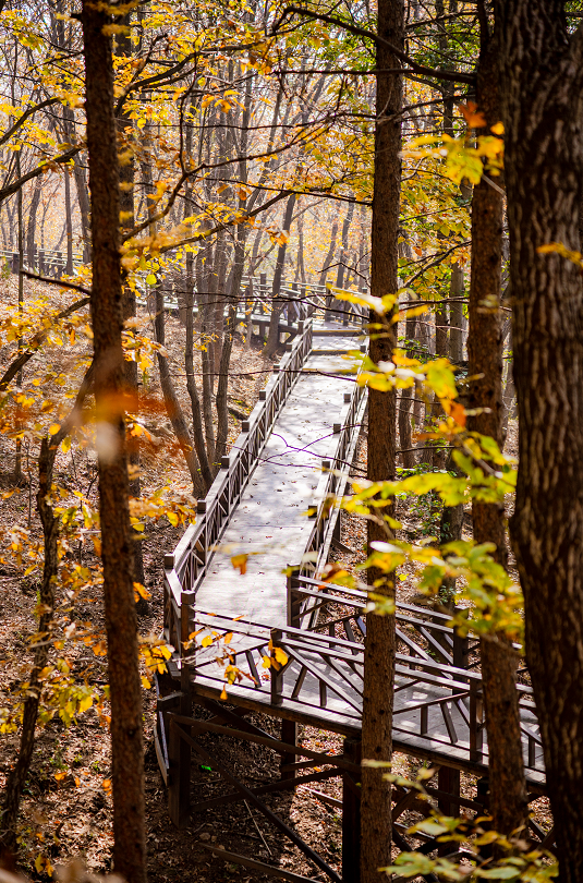 别再问周末去哪玩了！来蒙山承包你的快乐时光！