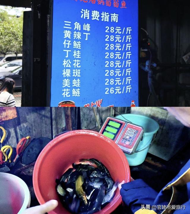 成都周边游，三道堰寻味苗苗鱼，真鲜美