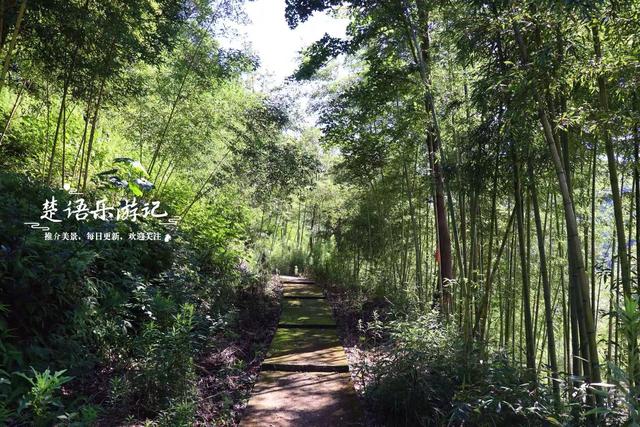 浙江宁波城西的峡谷古村，4公里长溪都是玩水胜地，适合溯溪探幽