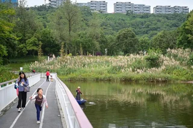 谁说重庆没有秋天?都藏在这些公园里→