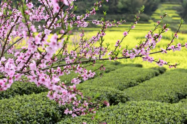 两性关系：60多岁的阿姨们坦言，女人找老伴，最大的需求是这一点