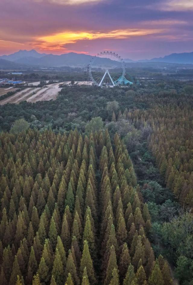 “焦糖色秘境”上线！超级出片！日照这里错过再等一年！