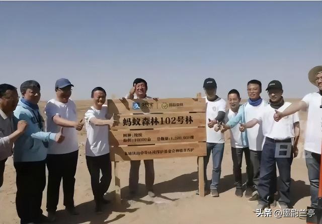 时隔六年，马云再回蚂蚁森林，当年一片荒漠，现如今已成绿洲