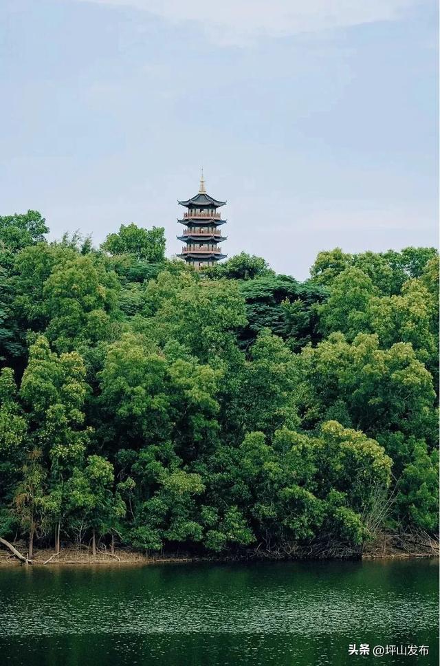 骑遇坪山① | 宝藏“高颜值”骑行线，拍出森系大片刷爆朋友圈