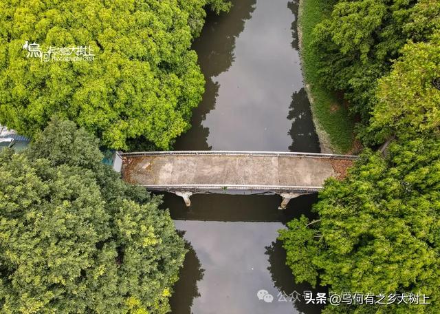 它是南宁第一座铁桥，仅花费8000元建成，如今已成危桥被废弃