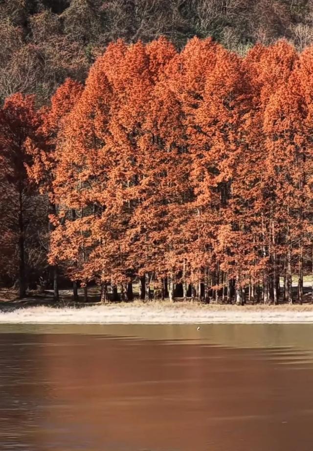 美不胜收的陕南美景