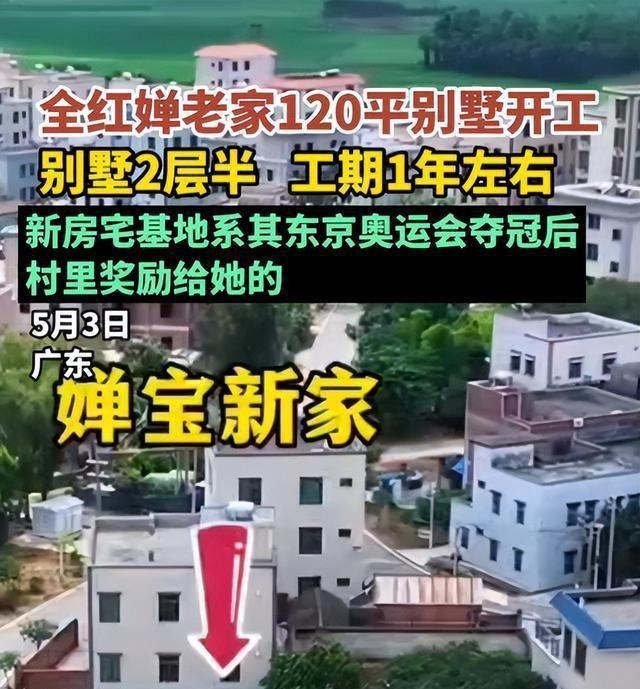 关系藏不住了！全红婵近况曝光，原来她和王俊凯是这样的关系