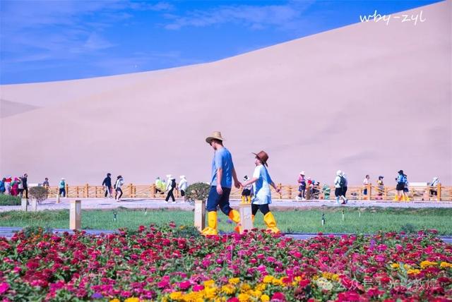快来看，大漠敦煌又一波花海来袭