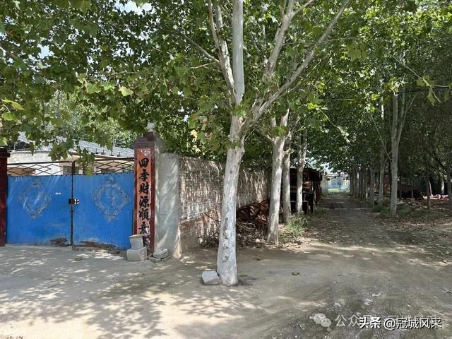 冠县乡韵·定远寨镇前杏园村