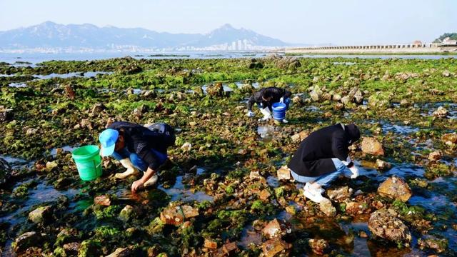 宝藏小城（荣成）漫游记 |想赶海！来荣成！