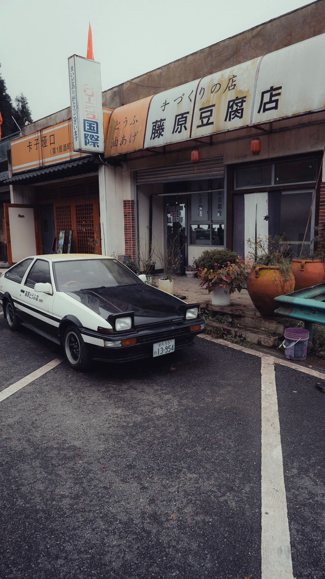 秋日限定！都江堰蒲虹路赏枫，0元小众无路人，快收藏！