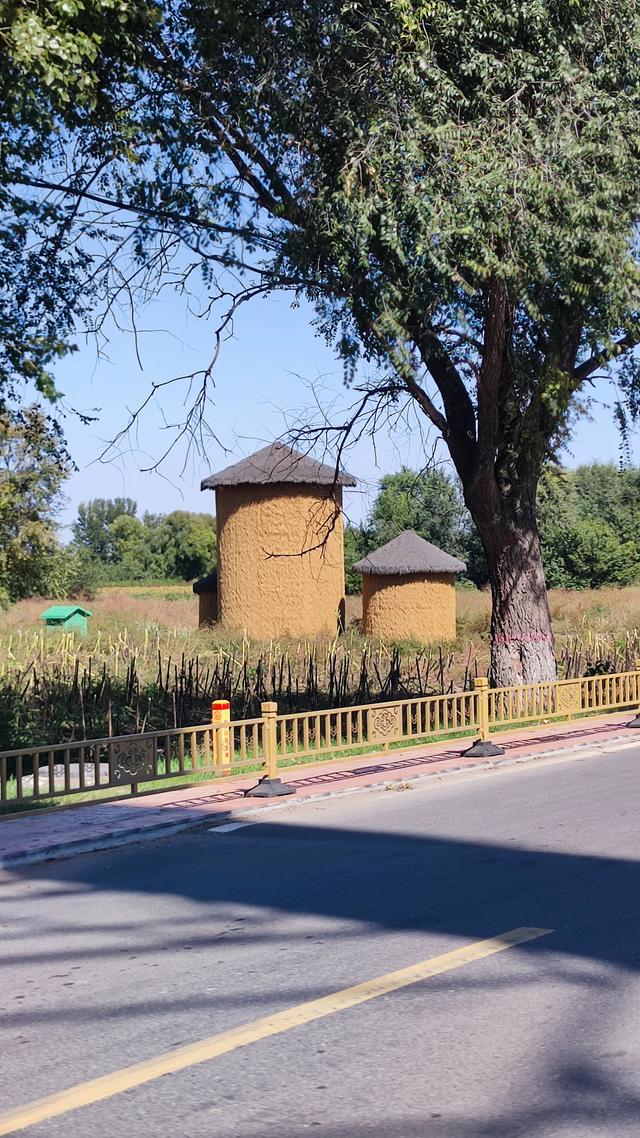 包头天下黄河第一村，靠着黄河边，风景还是不错的