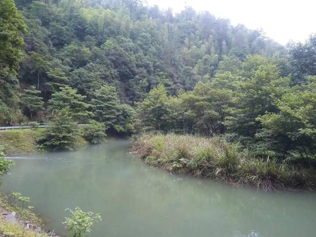 端阳喜伴小溪河，独有诗心迷远足——徒步小溪河散记（三）