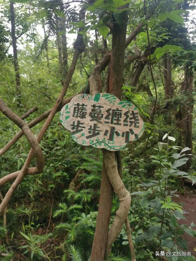 全部免费！解锁长沙10条山林徒步路线
