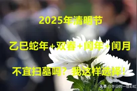 2025乙巳蛇年遇双春加闰月！不宜扫墓？到底去不去？我这样选择！图片