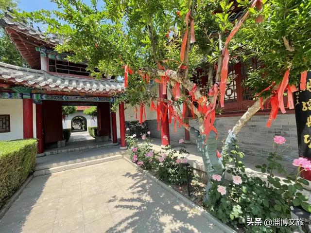 免票、半价!淄博四大景区优惠!齐文化节带你嗨翻天~