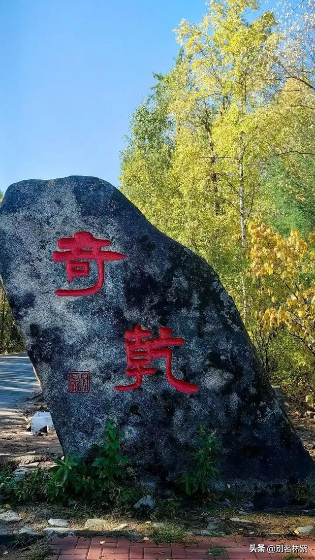 莫尔道嘎500元包车一日游，我都去了哪些地方，详细攻略分享