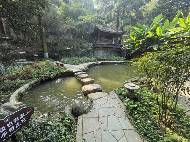 浙江湖州市德清县莫干山国家风景名胜区游记（下）