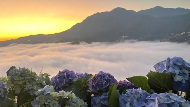 踏春赏梯田，趣玩庆三八！红河元阳我家田棚民宿活动暖心上线