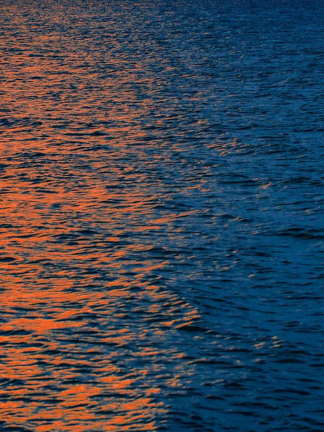 人类为何迷恋万物 ​