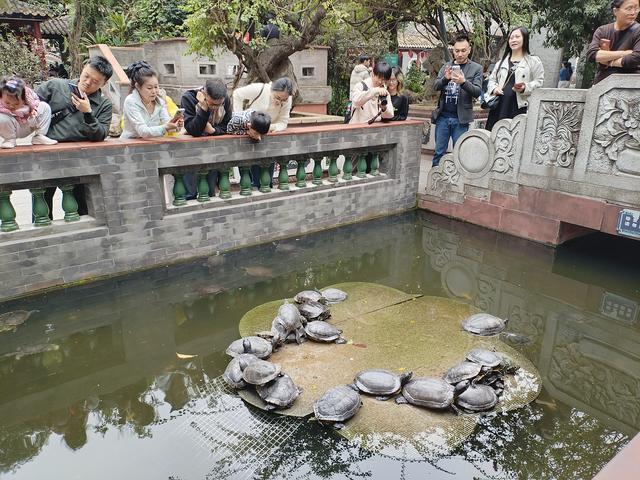 2026广东温暖之旅：黄埔军校旧址、顺德清晖园、华盖路