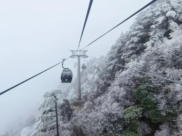黄山首场雾凇已上线！冬日限定皮肤等你来看！| 皖美冬日 | 第十五届安徽国际文化旅游节