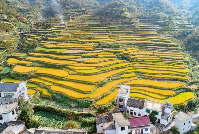 美景、品美食，来歙县，遇见一场“秋意浓”丨第十五届安徽国际文化旅游节