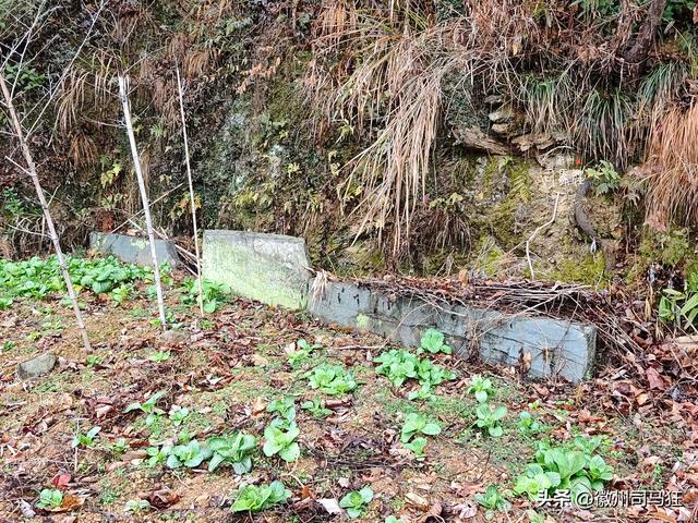 【行走徽州244】岔口：王茂荫、许球都曾在此求学，大洲源核心区