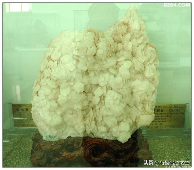 山东行游影记（31）—平邑天宇自然博物馆（六）