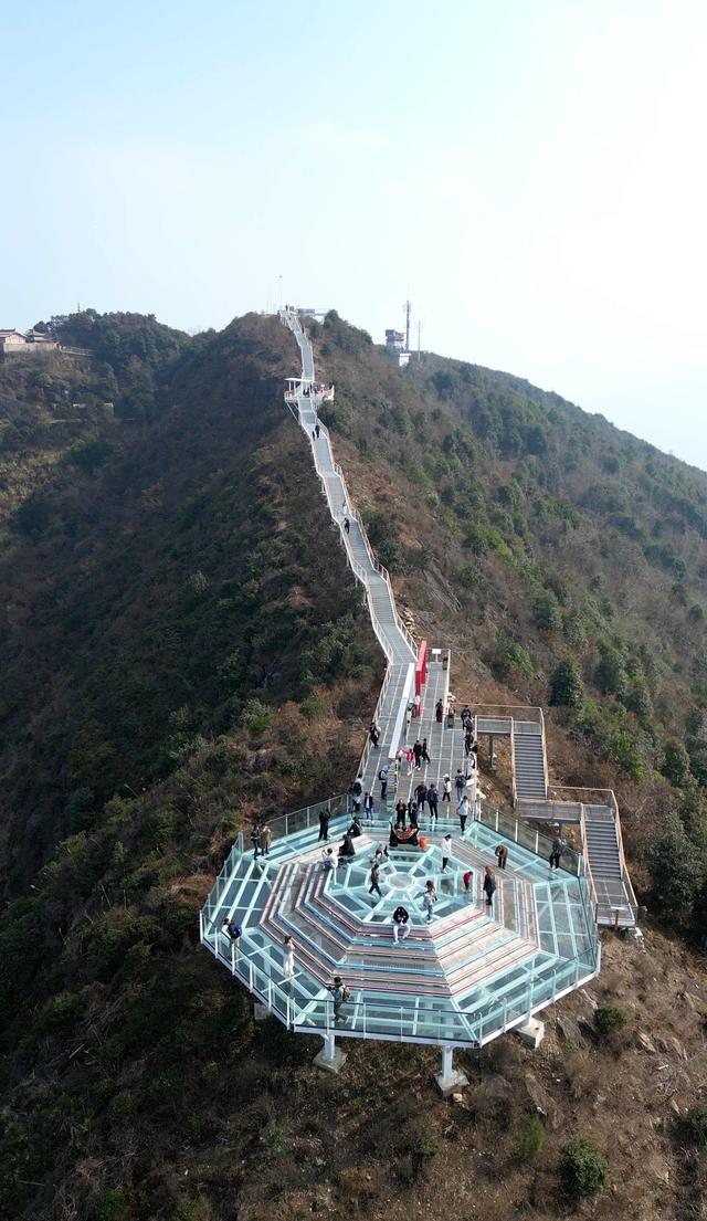 柚约带你“驻”进田园深处