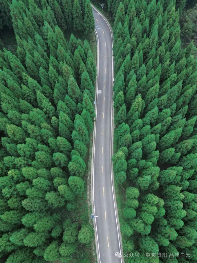 速来！白云区最美景点投票通道开启，pick你心中的景