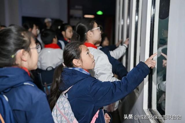 环保志愿 “趣”游蓉城 | 在自然课堂里种下生态保护的“童心种子”