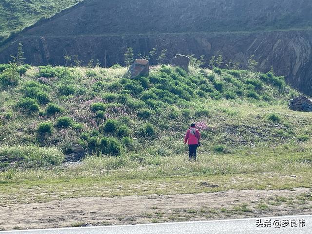 西北自驾第七天：若尔盖至德阳的漫长行驶