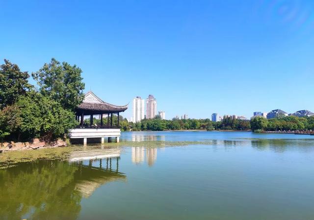 云龙公园春色好，绿肺含韵润彭城