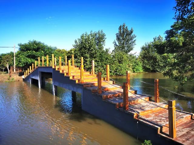戴南镇：“水韵刁良”入图画