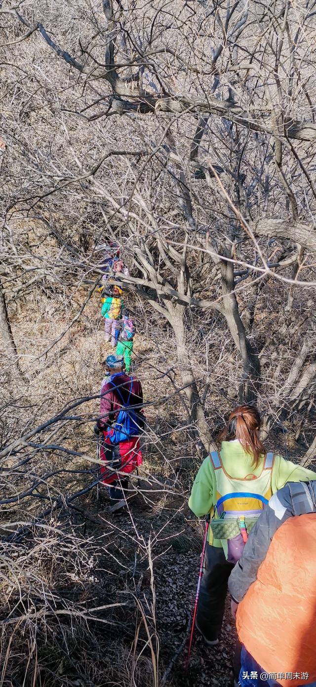 21）徒步山西阳城蟒河指柱山，冬日山野之行，把疲惫，留在上山的