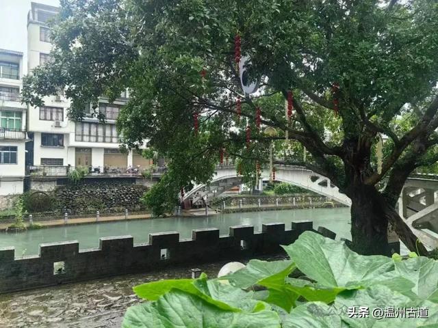 夏天你不能错过的浙南九寨沟！幽谷俊山，碧波荡漾，美得不像人间