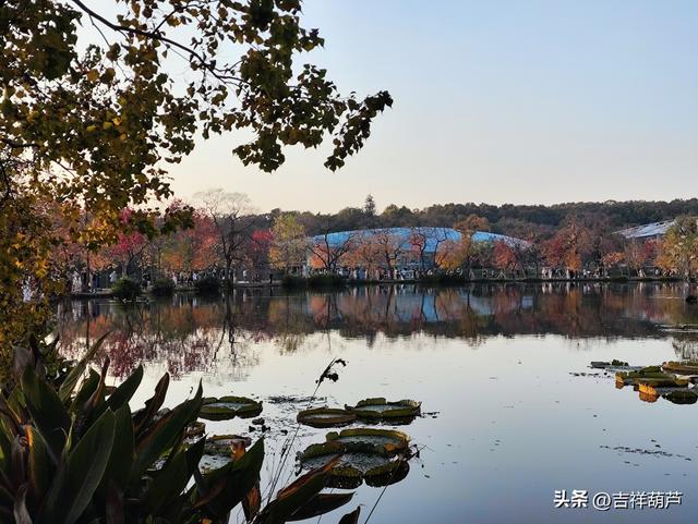 初冬‖钟山前湖月牙堤的日落，美的人移不开眼，停不下手拍摄！