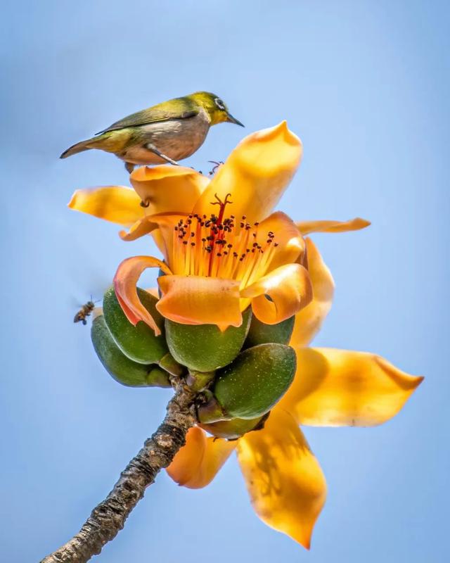 怀集的四季!带你回顾,带你深入