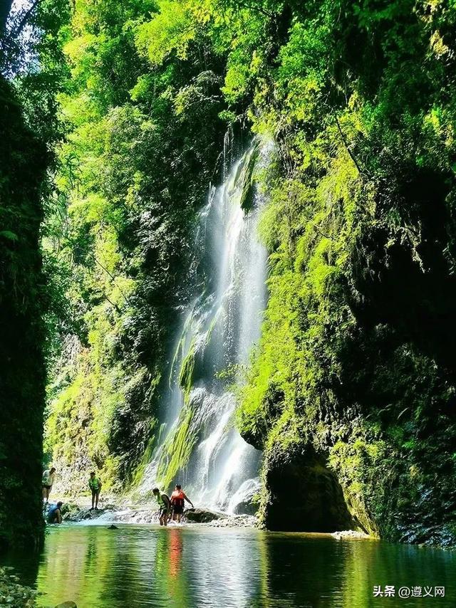 悦·遵义丨来凤冈，体验一次暑期沉浸式避暑之旅！