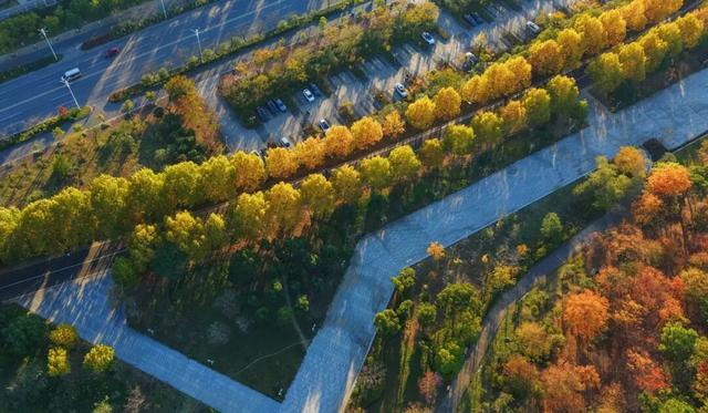 我拼了个“秋”！