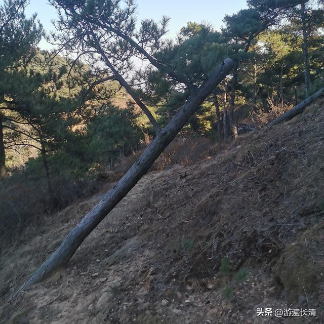 &068.寻找吴道人庵--误入歧途