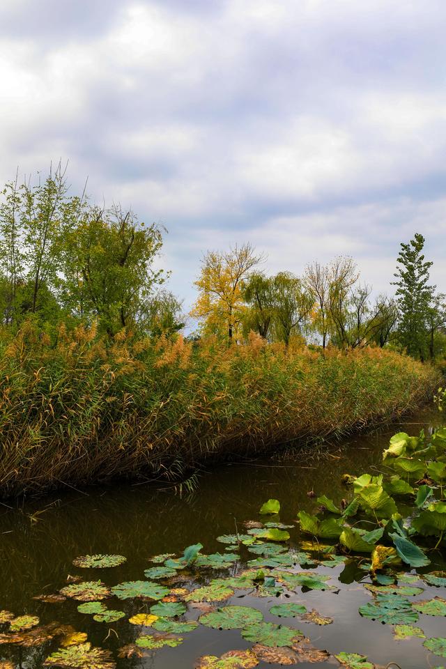 浞景无边，快乐亦无边~