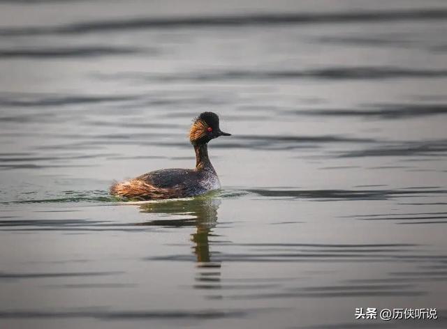 西方专家：中国又开始逆天改命，“引额济克”工程，让荒漠变绿洲
