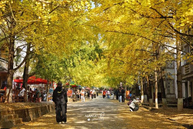 漫游韶关，赴一场山水间的秋日之约