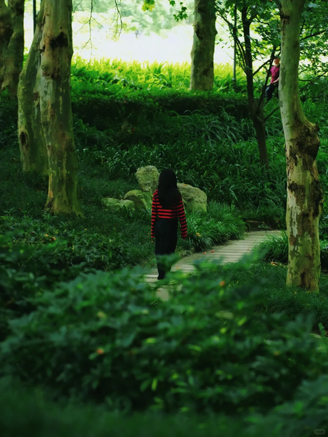 成都这个公园胜过绕城绿道，含氧量达100%，地铁3号线直达！