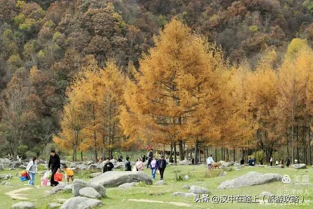 超出片!快来这里捕捉汉中秋色!